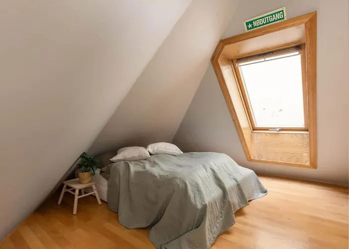 Daire Dinbnb L 50 Meters To Bryggen L New 2023 L Sunny Backyard *